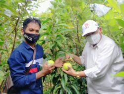 Imam Hambali, Anggota DPRD Kabupaten Bekasi Support Petani