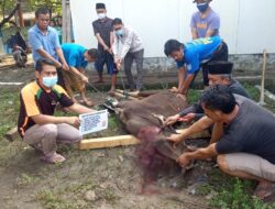 PKS Cikarang Pusat Turut Serta Sukseskan Tebar Satu Juta Qurban
