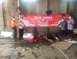 Sembelih Hewan Qurban dari Presiden PKS, Budi MM: Ini Aksi 1 Juta Tebar Qurban Dr. Salim