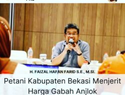 Faizal Hafan Farid : Pemerintah harus turun tangan atasi anjloknya harga gabah