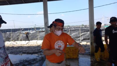 Kunjungi Muaragembong, Faizal Kagumi Pengelolaan Tambak Udang Kualitas Ekspor