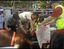 Idul Adha 1444 H, Saeful Islam Potong Hewan Qurbannya Sendiri