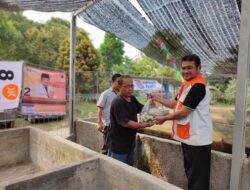 Faizal Hafan Farid Serahkan 5000 Benih Lele Untuk Warga Setu