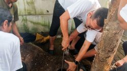 Saeful Islam Potong Hewan Qurban Sendiri di Tiga Kecamatan
