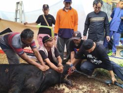 Ratusan Paket Qurban Disalurkan, DPC PKS Tambun Selatan Perkuat Solidaritas di Tengah Masyarakat